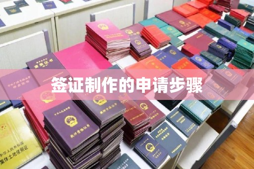 新荣签证制作的申请步骤