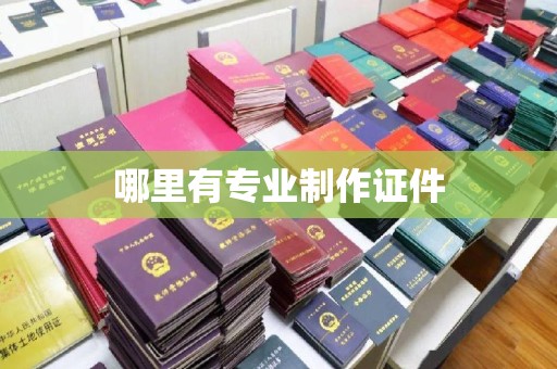 新荣哪里有专业制作证件