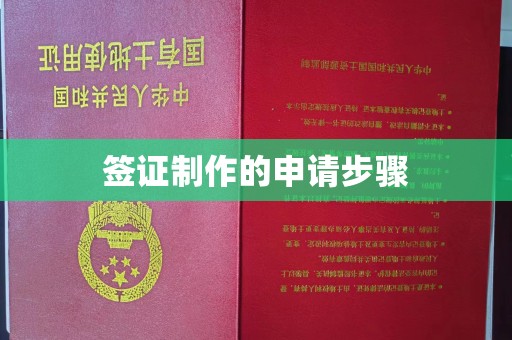 新荣签证制作的申请步骤