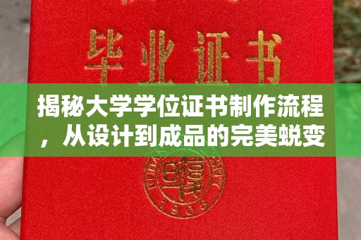 新荣揭秘大学学位证书制作流程，从设计到成品的完美蜕变