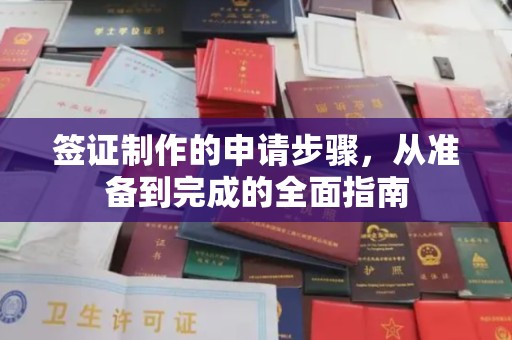 新荣签证制作的申请步骤，从准备到完成的全面指南